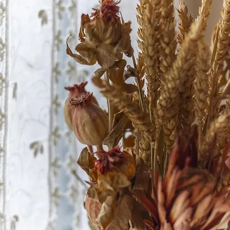 Garden - Smart Appartamento Mantova